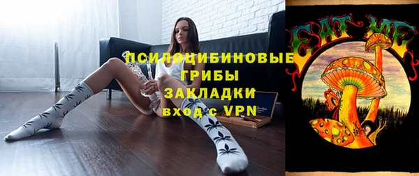 стафф Великий Новгород