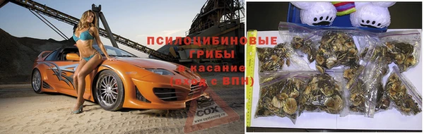 твердый Галич