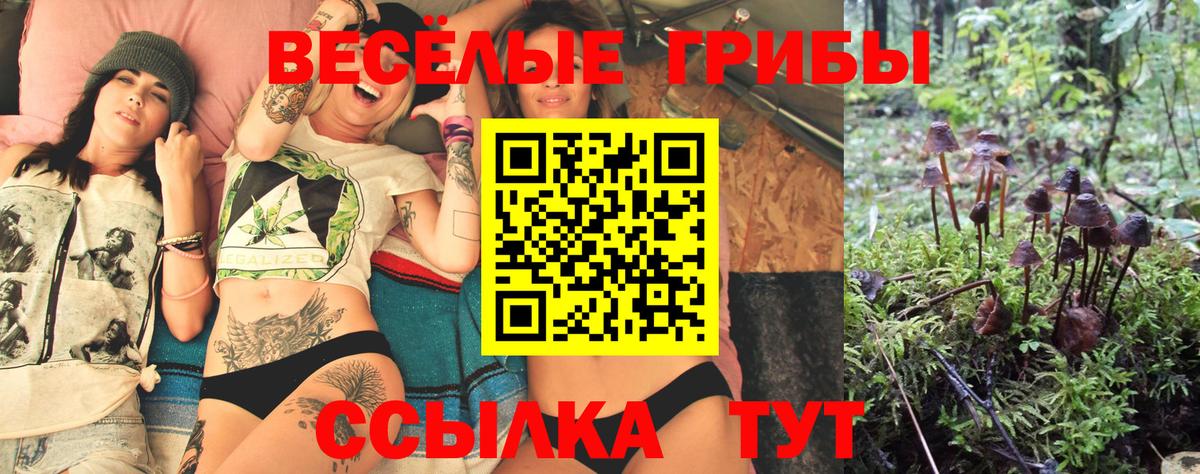 Апшеронск  Псилоцибиновые грибы мицелий  Галлюциногенные грибы GOLDEN TEACHER  Вход с VPN 