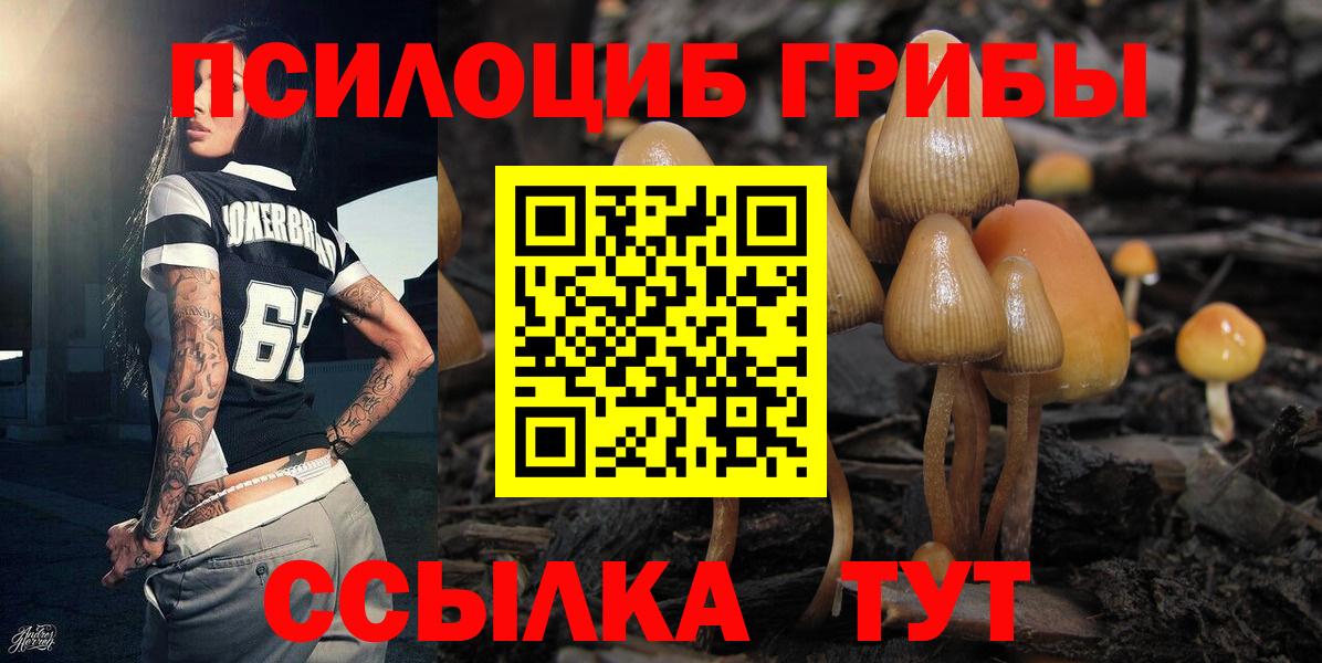 Галлюциногенные грибы MAGIC MUSHROOMS  Апшеронск 