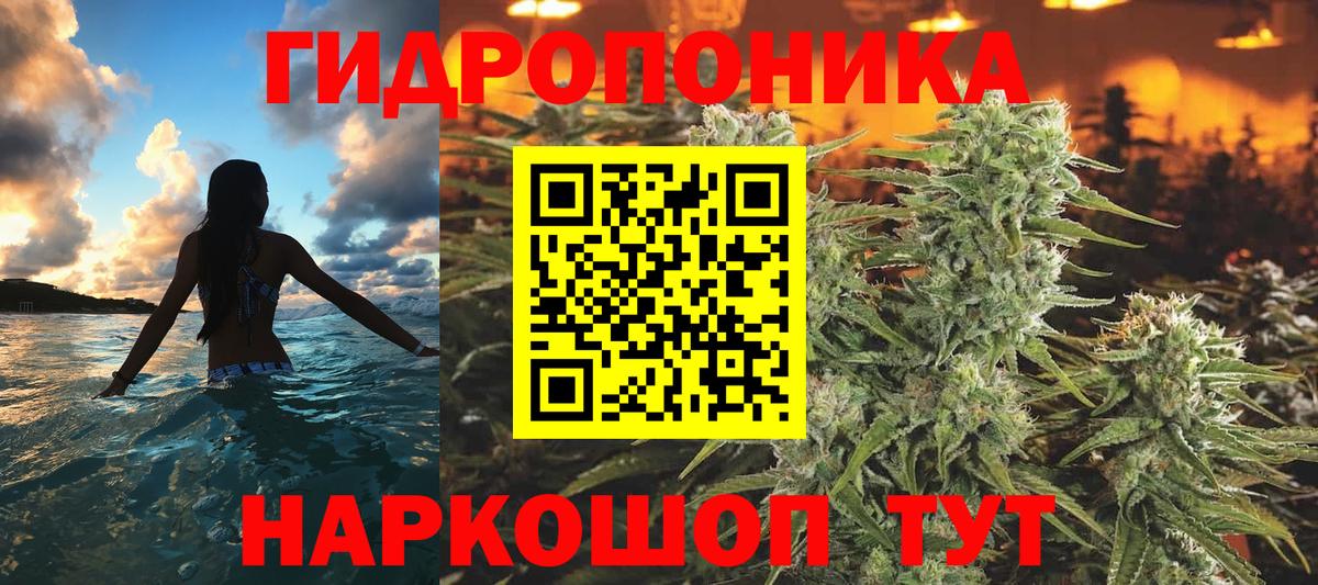 Бошки Шишки тримм  Марихуана планчик  Апшеронск  Бошки марихуана OG Kush 